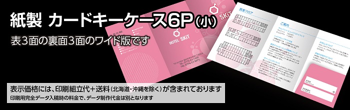 カードキーケース6Pタイプ