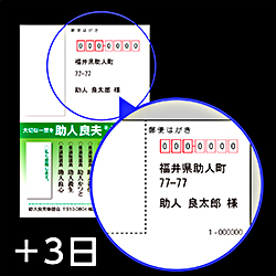 選挙用はがき宛名印字